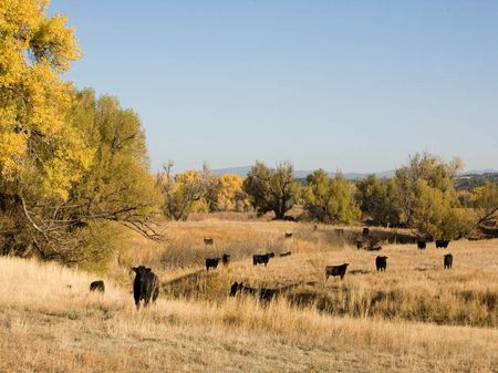 5,987 Acres Willow Creek Ranch : Watrous : Mora County : New Mexico