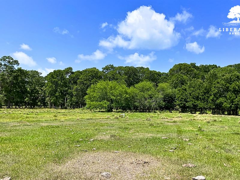 Wharton Tract 6, Only $15K Down : Wharton : Wharton County : Texas