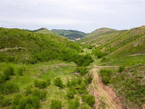 Two-Bit Ranch Option 2 : Deadwood : Lawrence County : South Dakota
