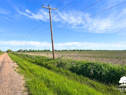 Garwood Tract 4, Only $15K Down : Garwood : Colorado County : Texas
