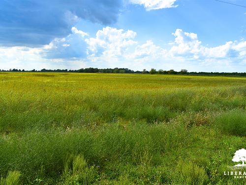 Garwood Tract 6, Only $15K Down : Garwood : Colorado County : Texas