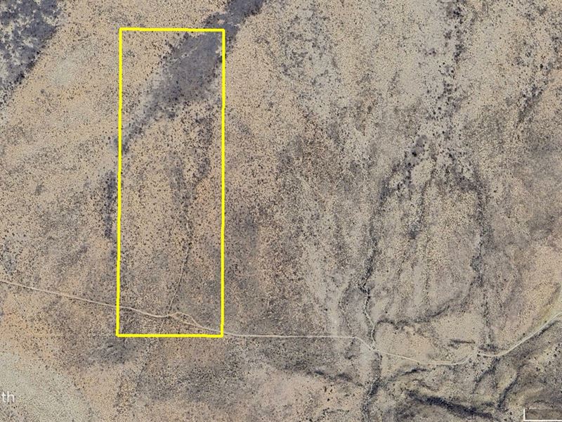 Texas Hunting Rights : Sierra Blanca : Hudspeth County : Texas