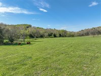 Farm for Sale in Southern Missouri : Drury : Douglas County : Missouri
