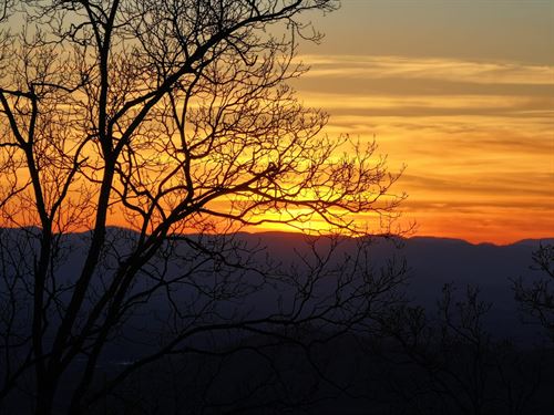 Private Mountain Living on 191 : Weaverville : Buncombe County : North Carolina