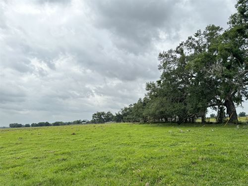 Riverline Ranch and Development : Arcadia : DeSoto County : Florida
