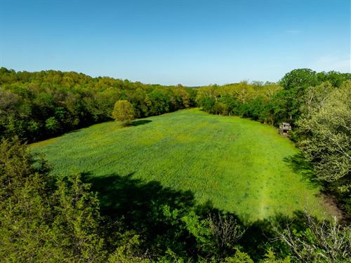 97 Acres, Year Round Creek, Pas : Evening Shade : Sharp County : Arkansas
