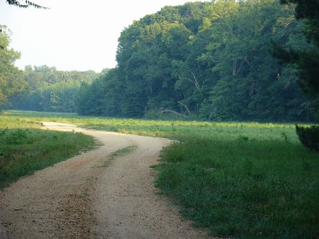 1362 Acres of Natural Wonder : Hardaway : Macon County : Alabama
