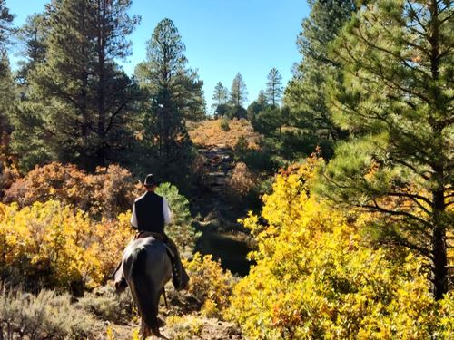 Piney Creek Ranch : Olathe : Montrose County : Colorado