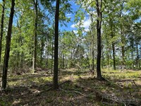 North Columbia Commercial Potential : Milledgeville : Baldwin County : Georgia