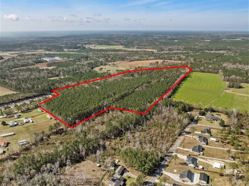 Multi Use Land for Sale : Loris : Horry County : South Carolina