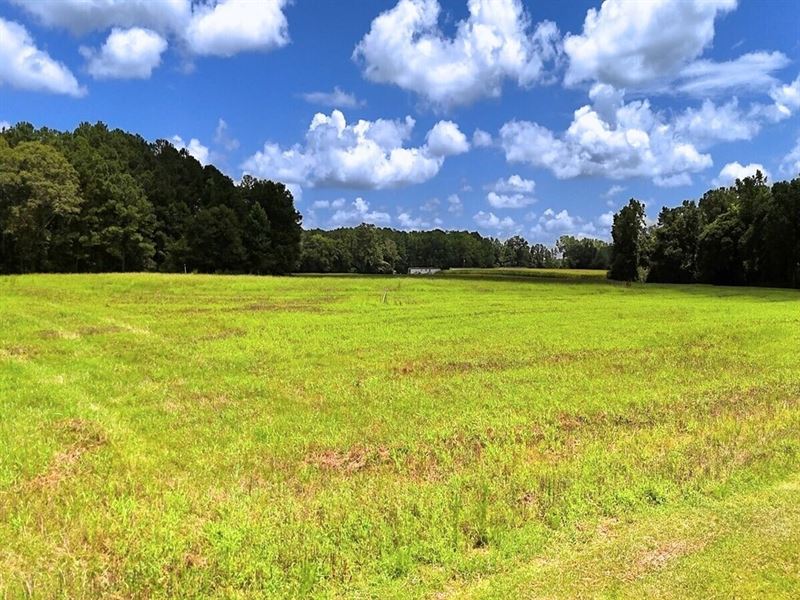 65.25 Acres of Farm and Recreationa : Maple Hill : Onslow County : North Carolina