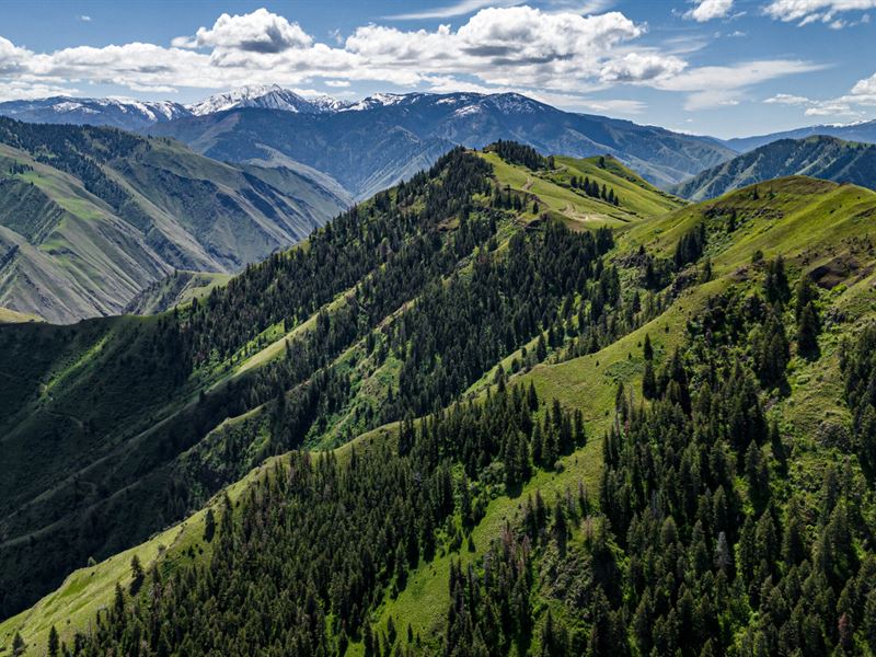 Race Creek Ranch : Riggins : Idaho County : Idaho
