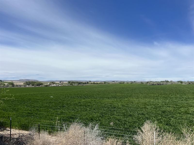 Nyssa Farmland, Ranch for Sale in Oregon, 375270 RANCHFLIP