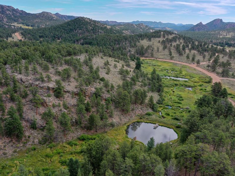 Red Feather Lakes Acreage and Water : Red Feather Lakes : Larimer County : Colorado