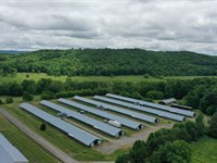 Price Reduced, Rnc Broiler Farm : Lafayette : Walker County : Alabama