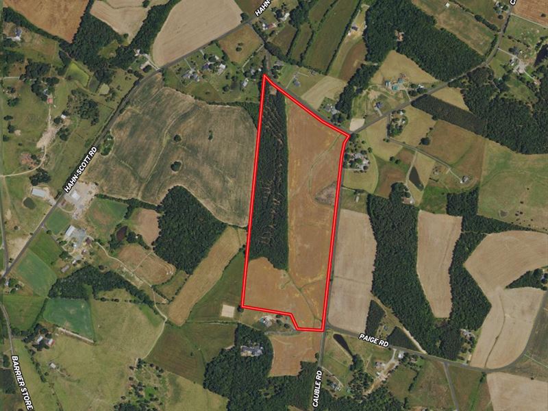 61.419 Acres of Farm and Timber Lan : Mount Pleasant : Cabarrus County : North Carolina