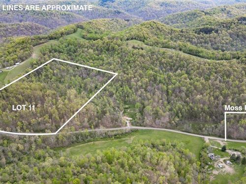 Moss Run Rd Lot 11, 17 Acres, Was : Marietta : Washington County : Ohio