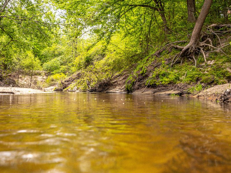 Homesite and Year-Round Recreation : Byram : Hinds County : Mississippi