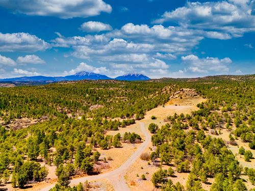 40 Mountain Acres, Power & Views : Trinidad : Las Animas County : Colorado