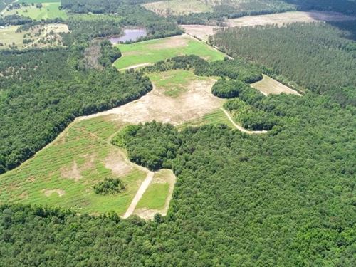 Shepard Road Farm : Kite : Johnson County : Georgia