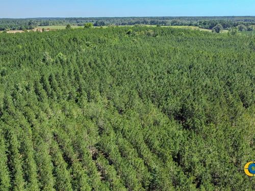 Hinton Tract : Butler : Taylor County : Georgia