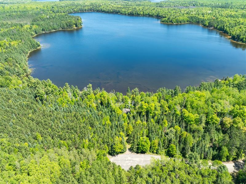 Great Bass Lake Parcel : Minocqua : Oneida County : Wisconsin