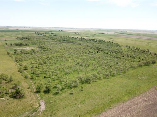Silver Creek Sanctuary : Wessington : Beadle County : South Dakota