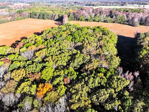 Oakdale Road 180 : Lonoke : Arkansas