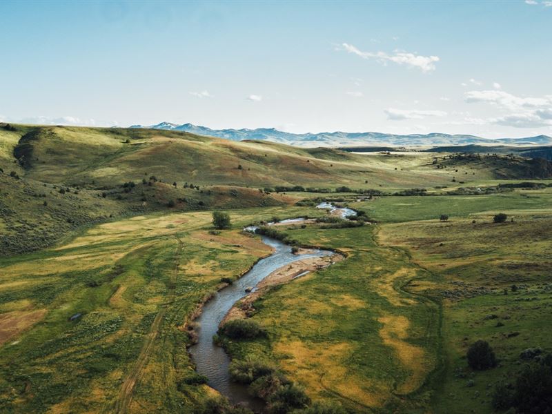 Brasher Ranch Premier Cattle : Jordan Valley : Owyhee County : Idaho