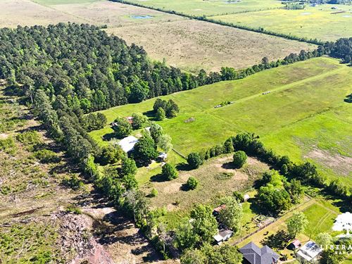 Dayton Tract 1, Only $15K Down : Dayton : Liberty County : Texas