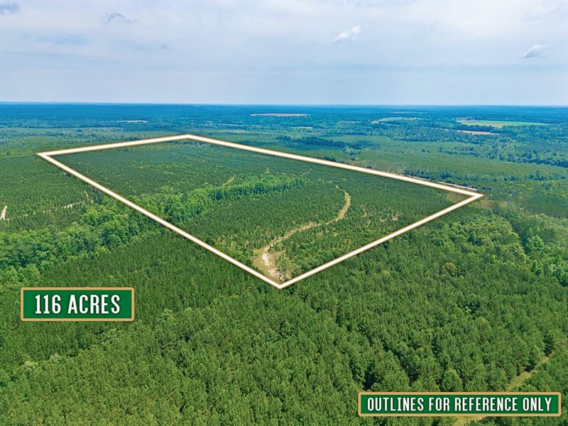 116 Acre Hunting and Timberland : Lumber City : Telfair County : Georgia