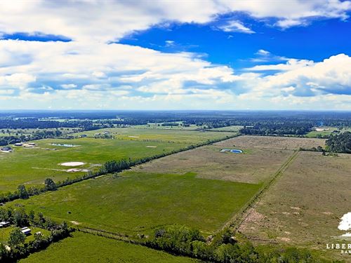 Dayton Tract 6, Only $15K Down : Dayton : Liberty County : Texas