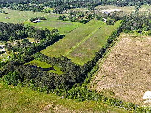 Dayton Tract 11, Only $15K Down : Dayton : Liberty County : Texas