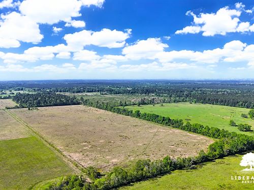 Dayton Tract 12, Only $15K Down : Dayton : Liberty County : Texas