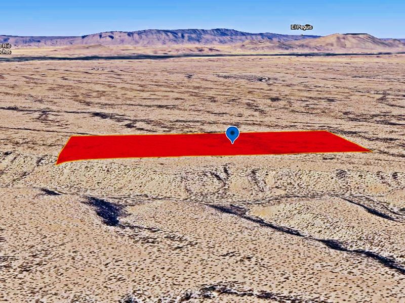 Calling All Motorsports : Presidio : Presidio County : Texas