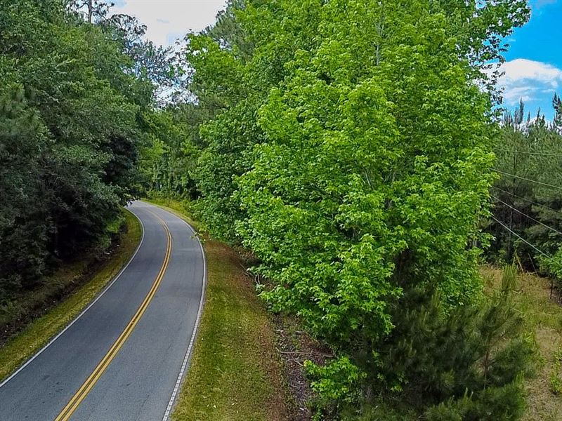 Peurifoy Road Tract : Colleton : Colleton County : South Carolina