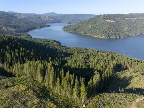 Dicks Creek at Dworshak : Kendrick : Clearwater County : Idaho