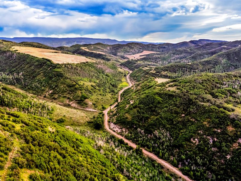 Springer Ranch : Hayden : Routt County : Colorado