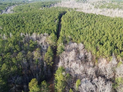 Hornsby Southeast Tract : Hornsby : Hardeman County : Tennessee