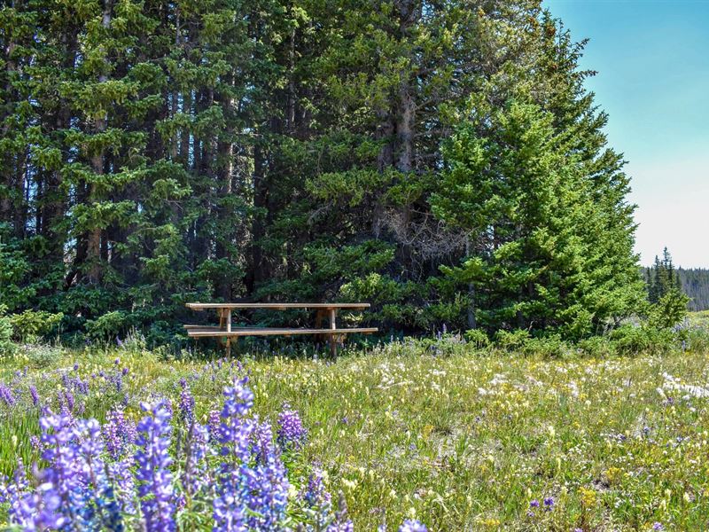 Mountain Meadow Cabins : Centennial : Albany County : Wyoming