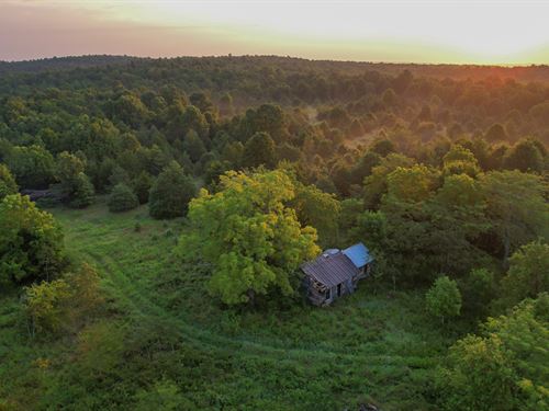 Homestead 302 : Sturkie : Fulton County : Arkansas