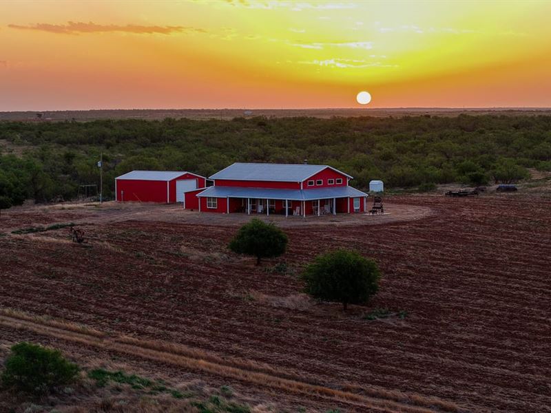 BS Ranch 1100 Acres Mld Hunting Pro : Childress : Childress County : Texas
