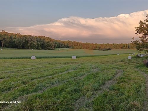 Beautiful Ranch with Live Water : West Plains : Howell County : Missouri