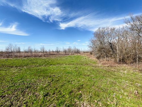 Highway 585 : Oak Grove : West Carroll Parish : Louisiana