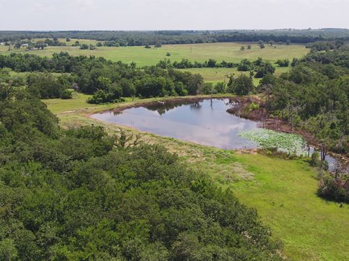 70 Acres in Milam County : Milano : Milam County : Texas