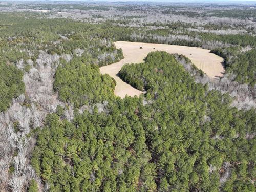 Clay County, 660 Acres Big Timber : West Point : Clay County : Mississippi