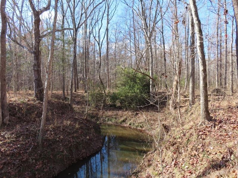 White Oak Recreational Tract : Winnsboro : Fairfield County : South Carolina