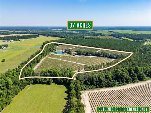 Southern Charm with Berry Farm : Blackshear : Pierce County : Georgia