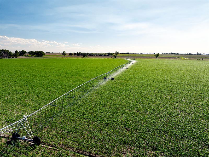 Bent & Prowers Co., Co Land Auction : McLave : Bent County : Colorado