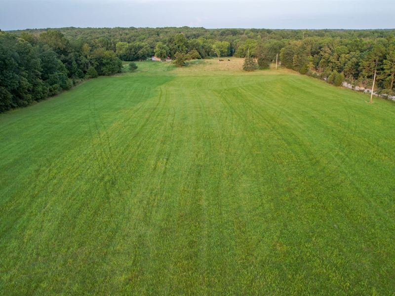 The Farm at Cedar Hill : Mountain View : Howell County : Missouri